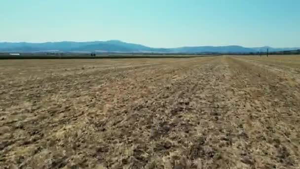 Schöne Anbaugebiete Slowenien Slowakei Roggen Schwingt Sanfter Brise Landwirtschaftliches Tal — Stockvideo