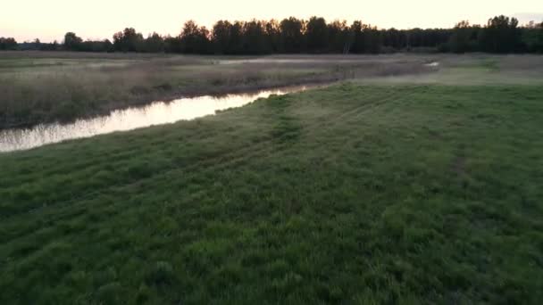Luchtfoto Van Weelderig Donker Zweeds Bos Bij Zonsondergang Prachtig Landschap — Stockvideo