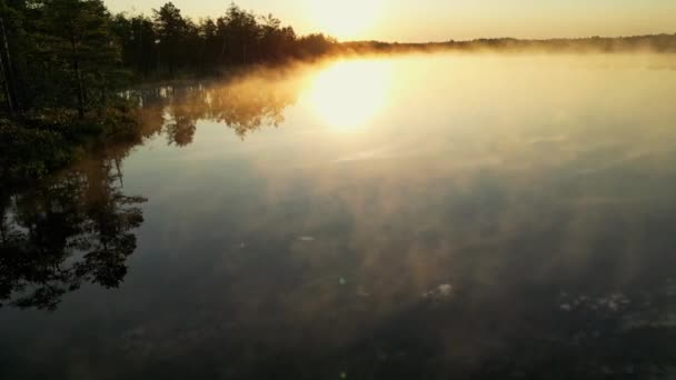 Утренний Туман Над Озером Оранжевый Туман Спокойные Размышления Фоне Леса — стоковое видео