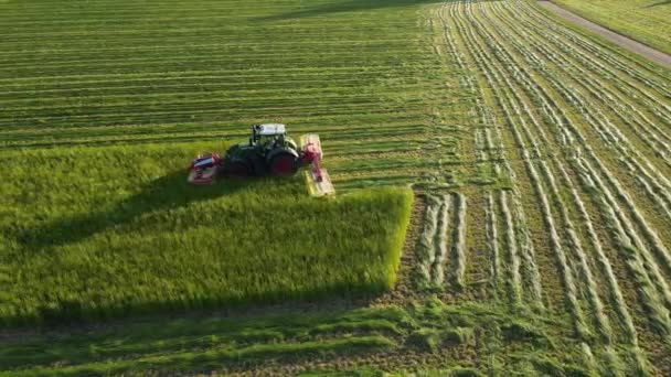 Máquinas Agrícolas Trator Colhendo Ervas Campo Agrícola Verde Trabalho Agricultor — Vídeo de Stock