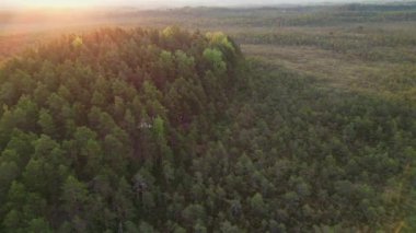 Sisli ormanda gün doğumu, ovanın üzerinde sis sabahı ve çayırdaki su baskını ovası. Bataklıkta gün doğumu, sulak arazi. Sisin içinden gün doğumu. Sakinlik, rahatlama, meditasyon, doğa konseptinin güzelliği.. 