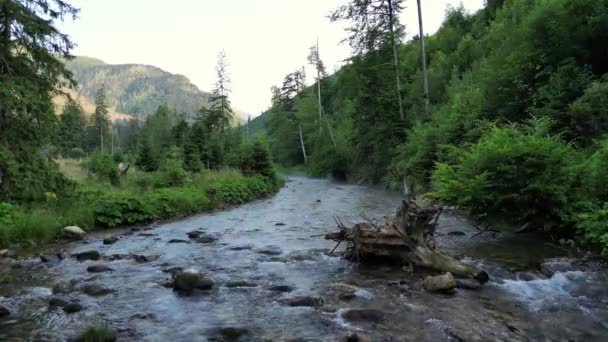 Erstaunlich Kristallklarer Fluss Den Bergen Sauberer Strom Hochland Sommerblick Sonniger — Stockvideo