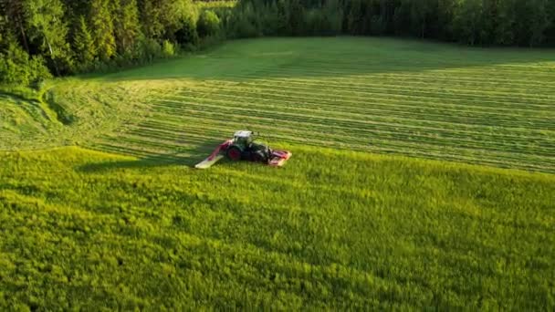 Kombiniert Auf Dem Feld Luftaufnahme Von Erntemaschinen Futtererntemaschine Beim Maisschnitt — Stockvideo