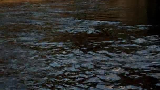 ローイングスポーツの一種であるカヌーは 川を下るデュアルカヤックの後に続きます チームが運営するスポーツカヌーの空中ドローン鳥の目のビデオ 穏やかな水の上を走るチームの人々とスポーツカヌー — ストック動画
