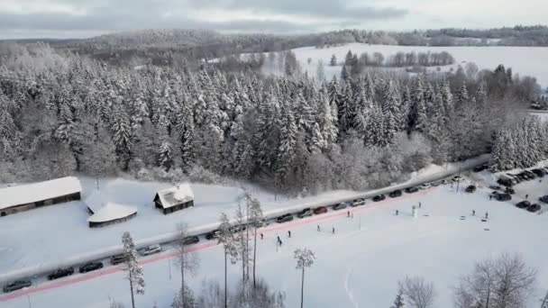 雪は木々や雪の森を覆い 人々は雪の中でスキーをしています 白い雪を覆うエバーグリーンスプルースの森 人々は道路をハイキングします 北欧のエストニアのフェアテールの冬の森 — ストック動画