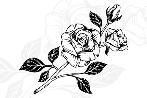 Ręcznie Rysowane Róże Liście Vintage Kwiat Clipart Kompozycja Dekoracyjna Ilustracja — Wektor stockowy