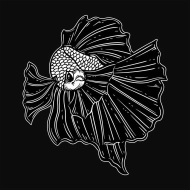 El çizimi Betta Balığı Siyah Beyaz Klasik Dövme ve Giysi Çizimi Sanatı