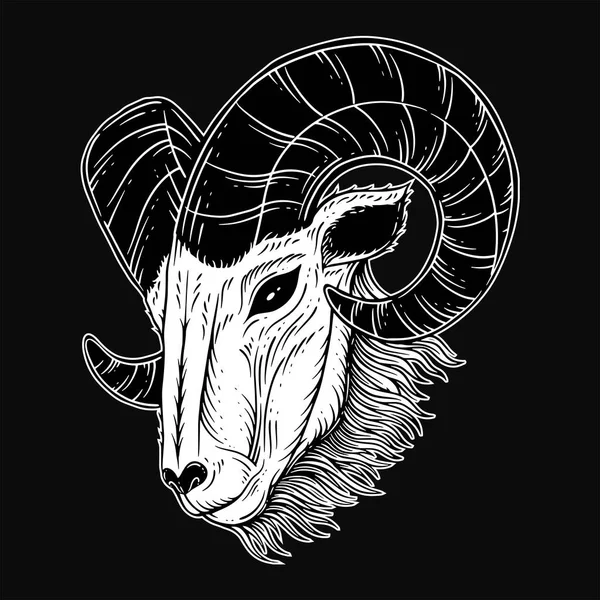 Cornos Cabeça Cabra Arte Escura Sheep Satanic Preto Branco Para — Vetor de Stock