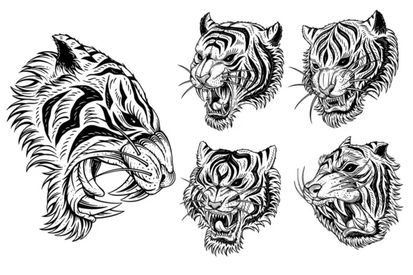 Set Bundle Tiger Head Angry Beast Roaring Mascot Tattoo Clothing — Stock Vector