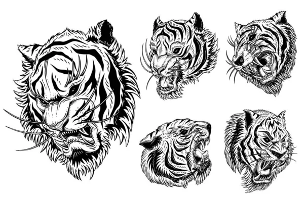 Set Bundle Tiger Head Angry Beast Roaring Mascot Tattoo Clothing — Stock Vector