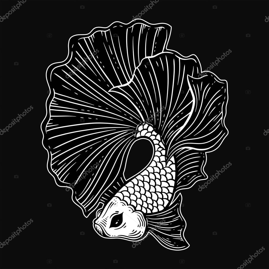 Dark fish ropa clearance
