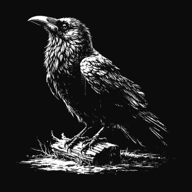 Kara Sanat Kargaları Kurukafa ve Kemik Grunge Merch için Eski usul resimli Kuzgun Kuşu