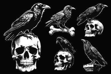 Merch için Kara Sanatlar Kargası Kafatası ve Kemik Kırışıklığı Eski Okul Tarzı İllüstrasyonuyla Kuzgun Kuşu Ayarla