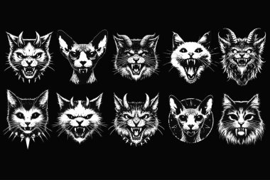 Koyu Sanat Kedileri Hayvan Dehşeti Grunge Kafatası Klasik Okul Dövmesi