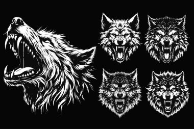 Koyu Sanat Kurdu Kükremesi Vahşi Yaşam Gecesi Grunge Dövmesi Görüntü: Siyah Beyaz