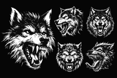 Koyu Sanat Kurdu Kükremesi Vahşi Yaşam Gecesi Grunge Dövmesi Görüntü: Siyah Beyaz