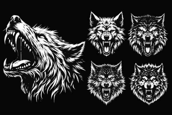 Koyu Sanat Kurdu Kükremesi Vahşi Yaşam Gecesi Grunge Dövmesi Görüntü: Siyah Beyaz