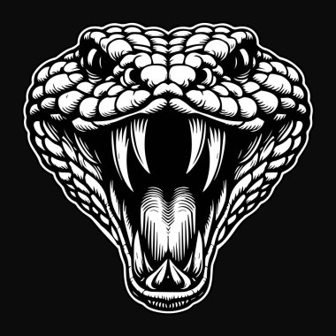 Kara Sanat Viper Yılan Canavar Kızgın Baş Siyah ve Beyaz Görüntü