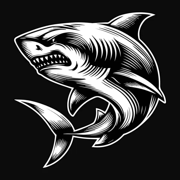 黑暗艺术愤怒的野兽攻击性鲨鱼黑白照片 免版税图库插图