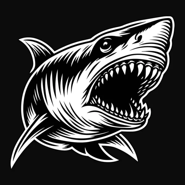 黑暗艺术愤怒的野兽攻击性鲨鱼黑白照片 图库插图