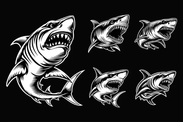 黑暗艺术愤怒的野兽攻击性鲨鱼黑白照片 免版税图库插图