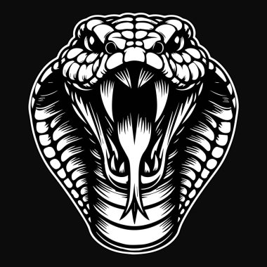 Kara Sanat Kızgın Kobra Yılan Canavar Başı Siyah ve Beyaz Görüntü