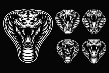 Kara Sanat Kızgın Kobra Yılan Canavar Başı Siyah ve Beyaz Görüntü