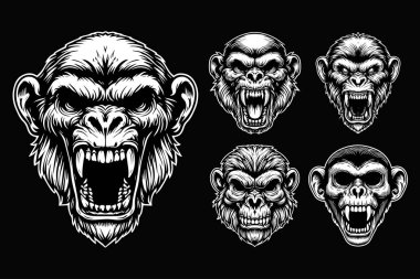 Kara Sanat Öfkeli Canavar Maymun Kafatası Siyah ve Beyaz Görüntü