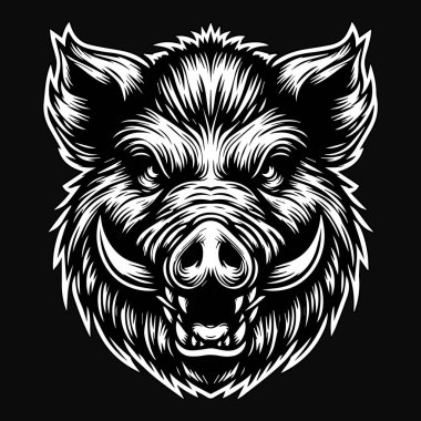 Karanlık Sanat Korkunç Yaban Domuzu Başı Siyah ve Beyaz Görüntü