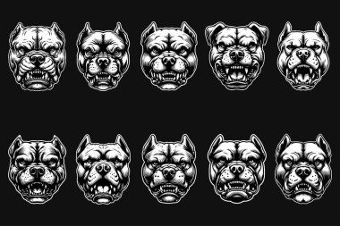 Kara Sanat Pitbull Köpek Başı Siyah ve Beyaz Görüntü