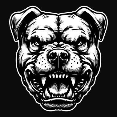 Kara Sanat Pitbull Köpek Başı Siyah ve Beyaz Görüntü