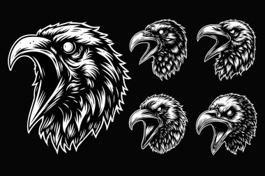 Keskin Gaga Siyah ve Beyaz Çizimleriyle Karanlık Sanat Korkutucu Kızgın Karga Kafası