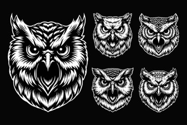 Karanlık Sanat Öfkeli Baykuş Başı Siyah ve Beyaz Çizim