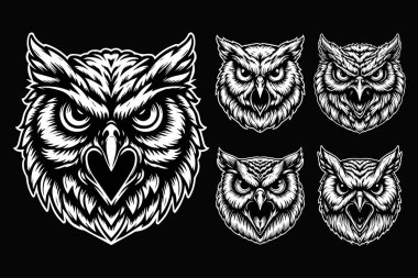 Karanlık Sanat Öfkeli Baykuş Başı Siyah ve Beyaz Çizim
