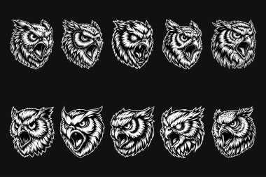 Kara Sanat Kızgın Vahşi Baykuş Başı Siyah ve Beyaz Görüntü