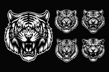 Keskin dişli Kara Sanat Öfkeli Canavar Kaplan Kafalı Siyah ve Beyaz Görüntü