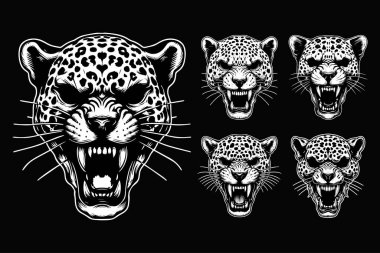 Kara Sanat Kurukafa Canavar Leopar Baş Siyah-Beyaz Görüntü