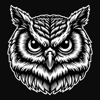 Karanlık Sanat Baykuş Başı Siyah ve Beyaz Görüntü