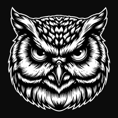 Karanlık Sanat Baykuş Başı Siyah ve Beyaz Görüntü