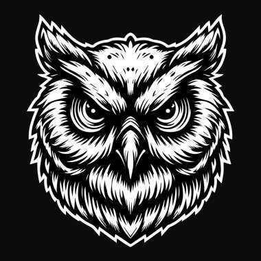 Karanlık Sanat Baykuş Başı Siyah ve Beyaz Görüntü