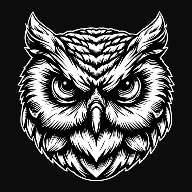 Karanlık Sanat Baykuş Başı Siyah ve Beyaz Görüntü