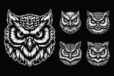 Karanlık Sanat Baykuş Başı Siyah ve Beyaz Görüntü