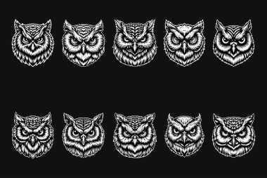 Karanlık Sanat Baykuş Başı Siyah ve Beyaz Görüntü