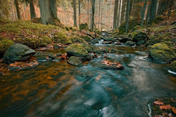 秋の森の中を流れる小さな小川 長時間露光時間 Hutsky Potok Pivonicke Skay Novohradske Hory Sumava Czechia — ストック写真