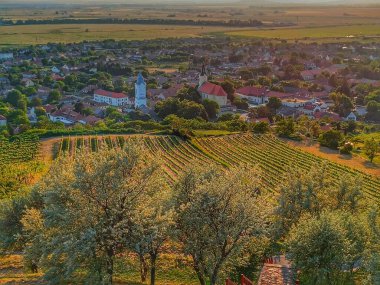 Tarcal, Tokaj bölgesi, Macaristan - iki kilise, üzüm bağları ve çiçek açan ağaçlarla birlikte köyün günbatımı manzarası