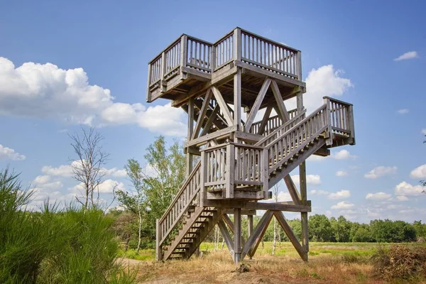 Houten Uitkijktoren Heide Nationaal Park Meinweg Onderdeel Van Het Maas — Stockfoto