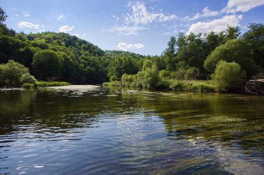 Dyje Nehri - Podyj 'de Thaya - Çek ve Avusturya sınırında Thayatal Ulusal Parkı