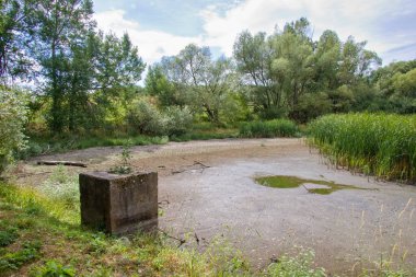 Yaz mevsiminde kurumuş balık havuzu. İklim değişikliği gerçek. Su yok. Susuz balık havuzu. 