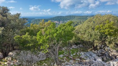 V. Gradac zirvesi Mljet Ulusal Parkı 'nda. Dağın tepesindeki deniz manzaralı bitki örtüsü..