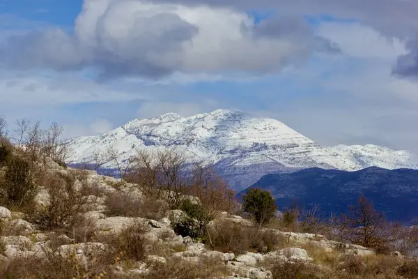 Baharın başlarında Skadar Gölü 'nden Arnavutluk Alpleri' ne manzara. Karlı dağlar. 